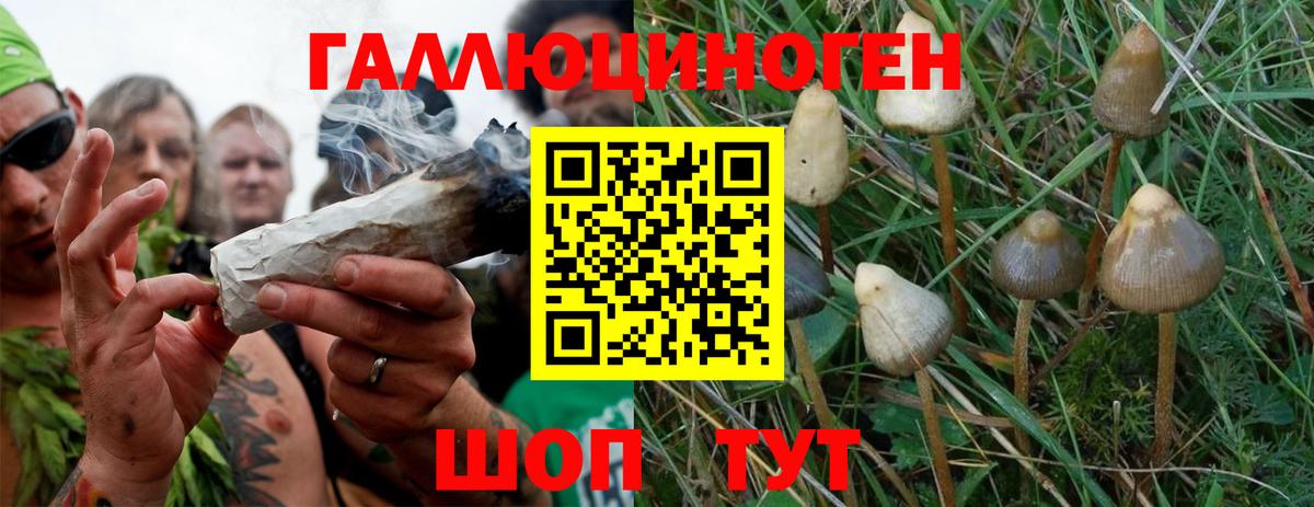 Псилоцибиновые грибы мухоморы  Галлюциногенные грибы MAGIC MUSHROOMS  Вход с VPN  Иркутск 