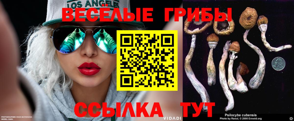 Псилоцибиновые грибы ЛСД Иркутск